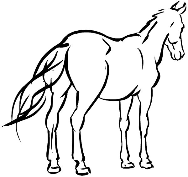 Horse walking away vinyl sticker. Customize on line.       Animals Insects Fish 004-1076  